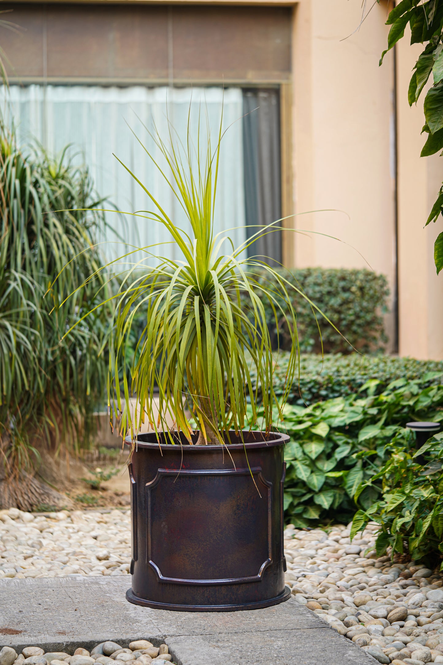 Aspen Fibre Planter