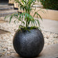 Ayla Fibre Planter