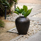 Maple Fibre Planter