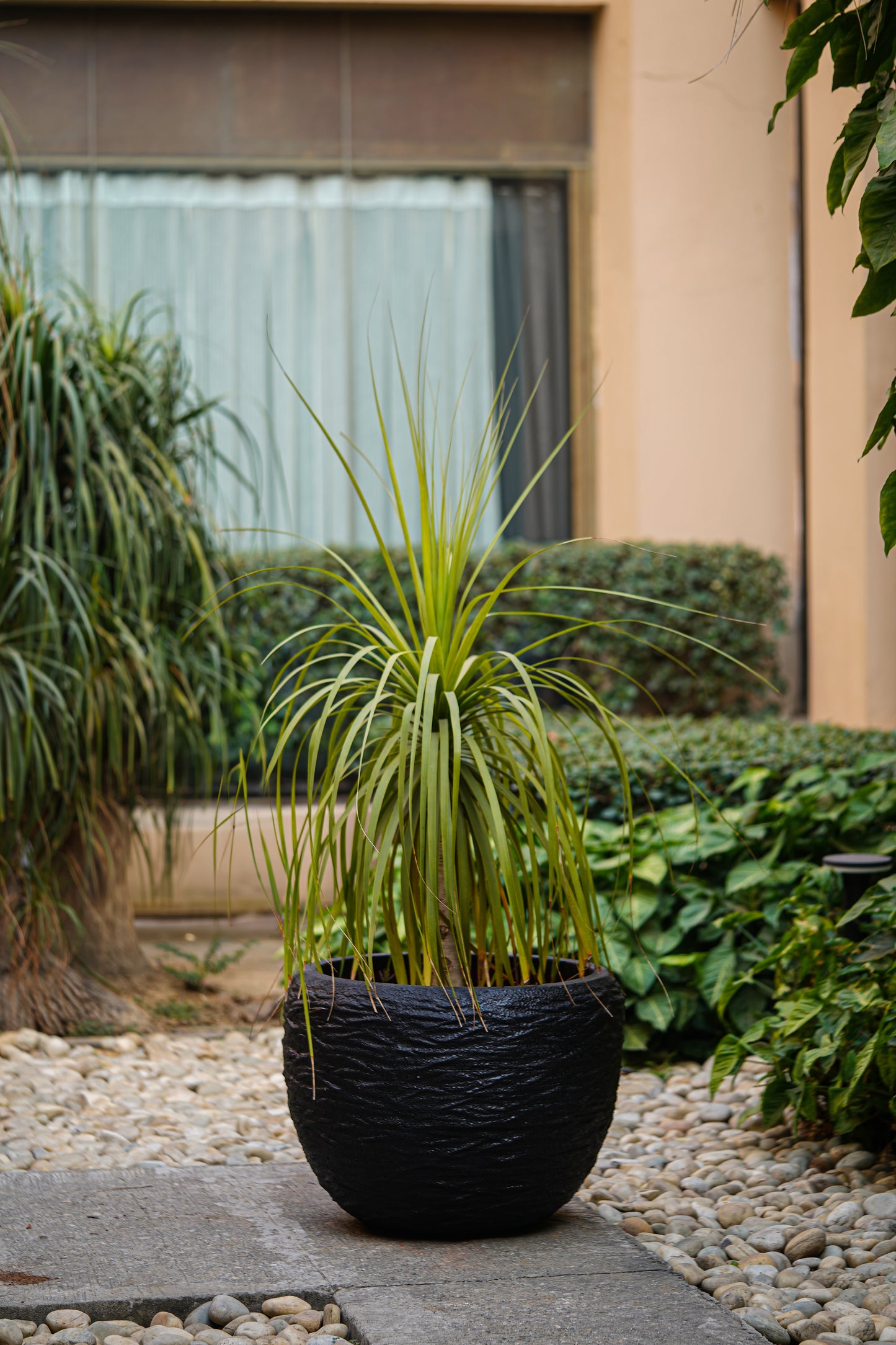 Olive Fibre Planter